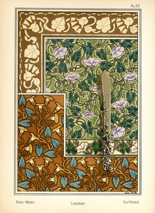 The Bindweed by Anna Martin